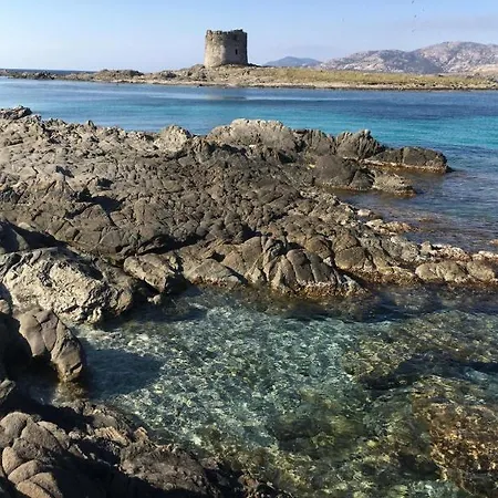 Lägenhet Capo Falcone Charming Stintino